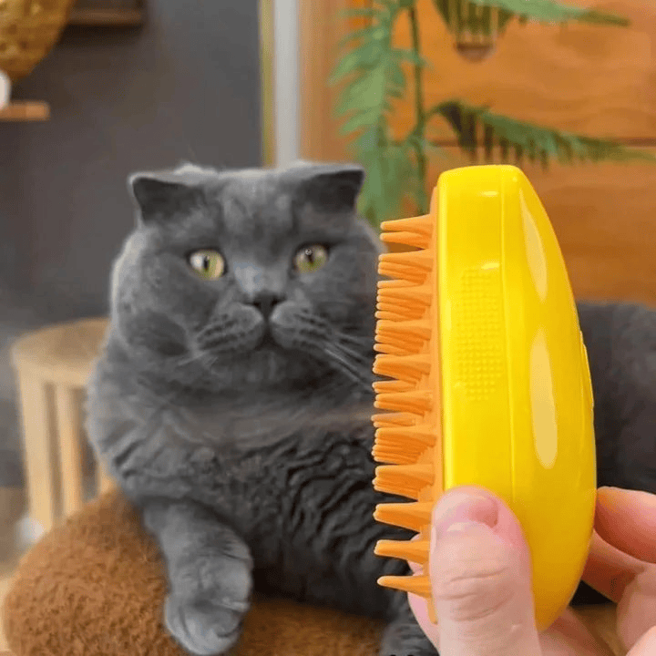 Steamy Cat Brush, 3 in 1 Pet Steamy Brush, Silicone Massage Dog Hair Remover Comb, Pet Hair Remover Misting Comb for Indoor Cats Dogs