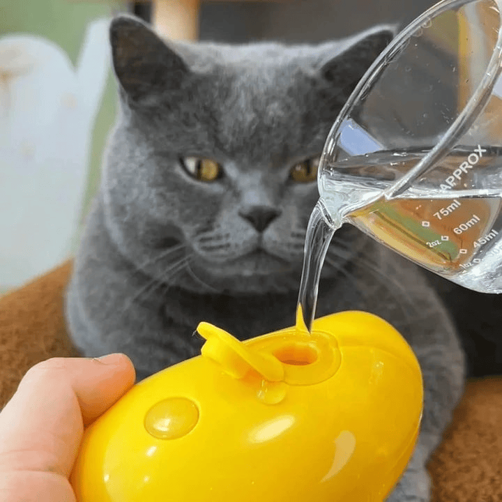 Steamy Cat Brush, 3 in 1 Pet Steamy Brush, Silicone Massage Dog Hair Remover Comb, Pet Hair Remover Misting Comb for Indoor Cats Dogs