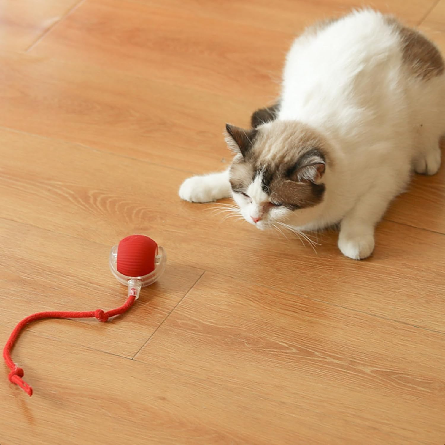 Interactive Pet Fun Ball, Interactive Dog Cat Toy Ball, Automatic Moving Bouncing Rolling