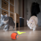 Interactive Electric Rolling Ball with Teasing Tail,Automatic Cat Toy with Tail, Electric Rolling Ball on Carpet