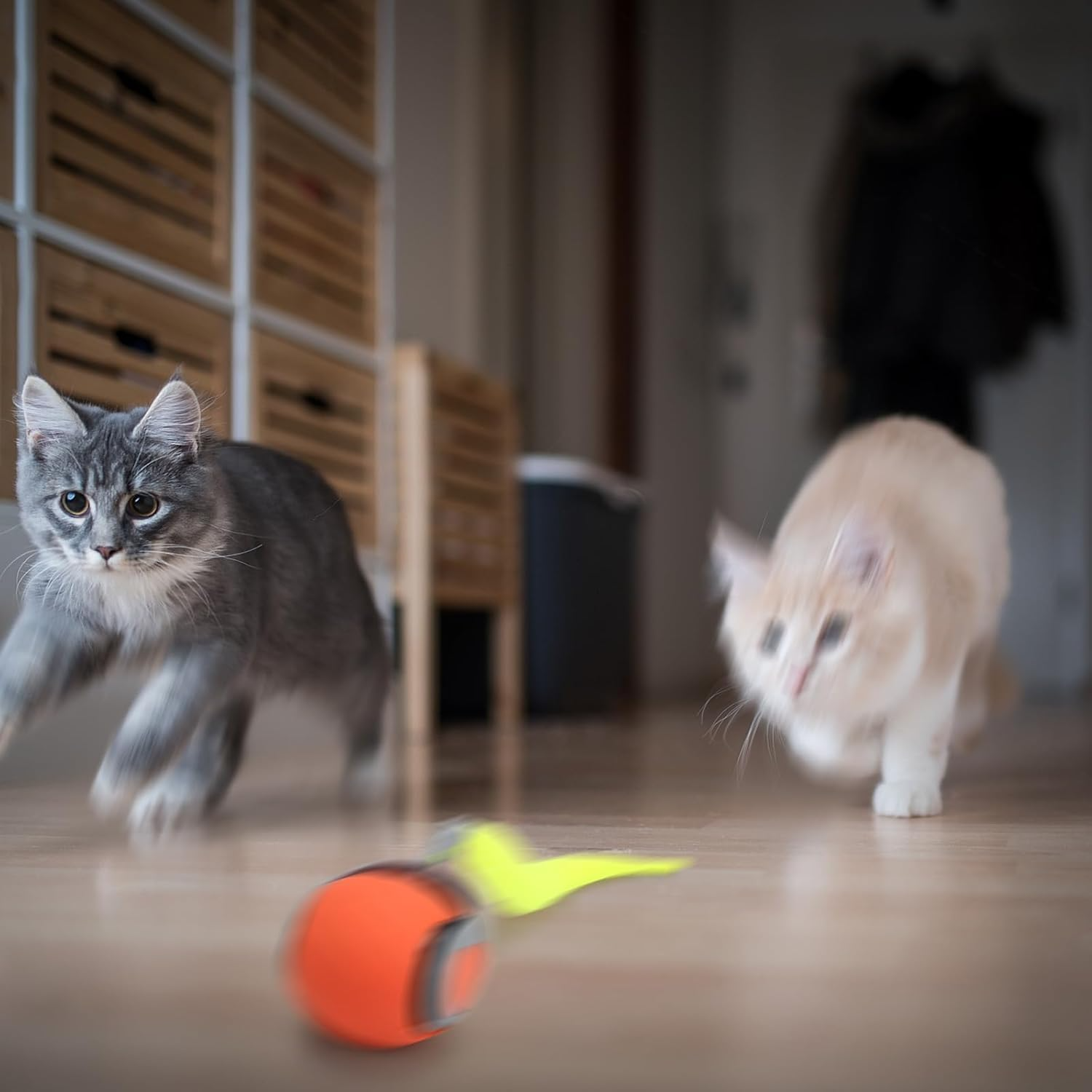 Interactive Electric Rolling Ball with Teasing Tail,Automatic Cat Toy with Tail, Electric Rolling Ball on Carpet
