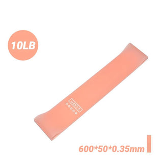 SculptFlex Mini Loop Resistance Band