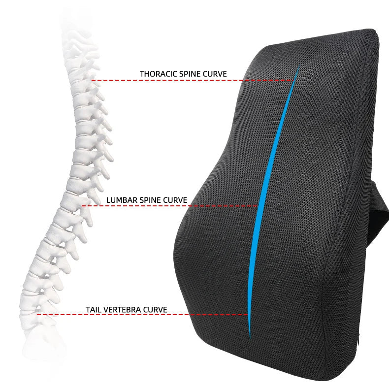 Memory Foam Lumbar Support Cushion for Comfortable Everyday Sitting