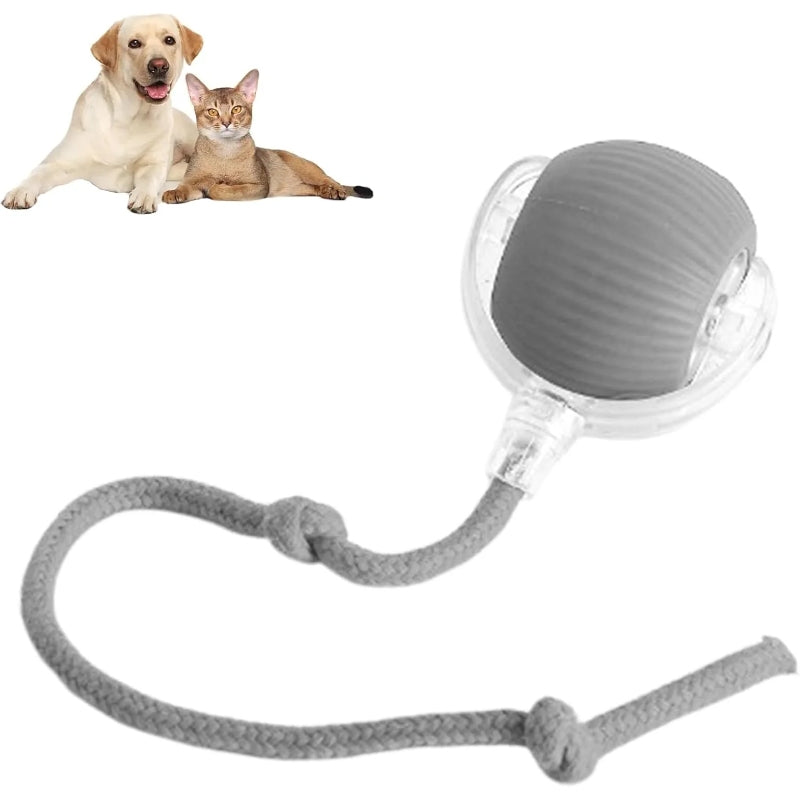 Interactive Pet Fun Ball, Interactive Dog Cat Toy Ball, Automatic Moving Bouncing Rolling