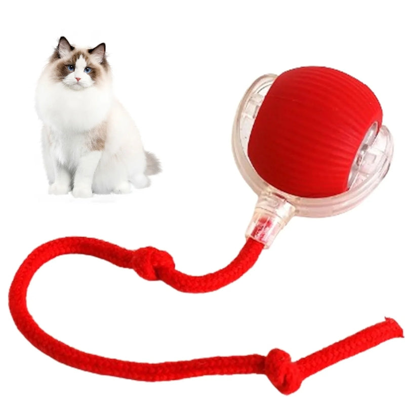 Interactive Pet Fun Ball, Interactive Dog Cat Toy Ball, Automatic Moving Bouncing Rolling