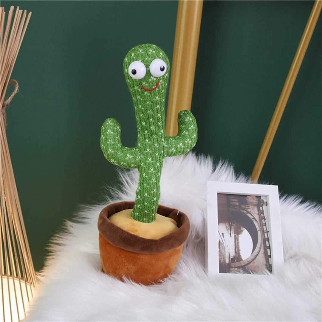 Parrot Cactus That Can Sing And Dance