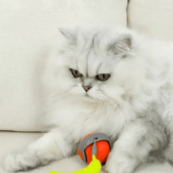 Interactive Electric Rolling Ball with Teasing Tail,Automatic Cat Toy with Tail, Electric Rolling Ball on Carpet