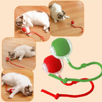 Interactive Pet Fun Ball, Interactive Dog Cat Toy Ball, Automatic Moving Bouncing Rolling