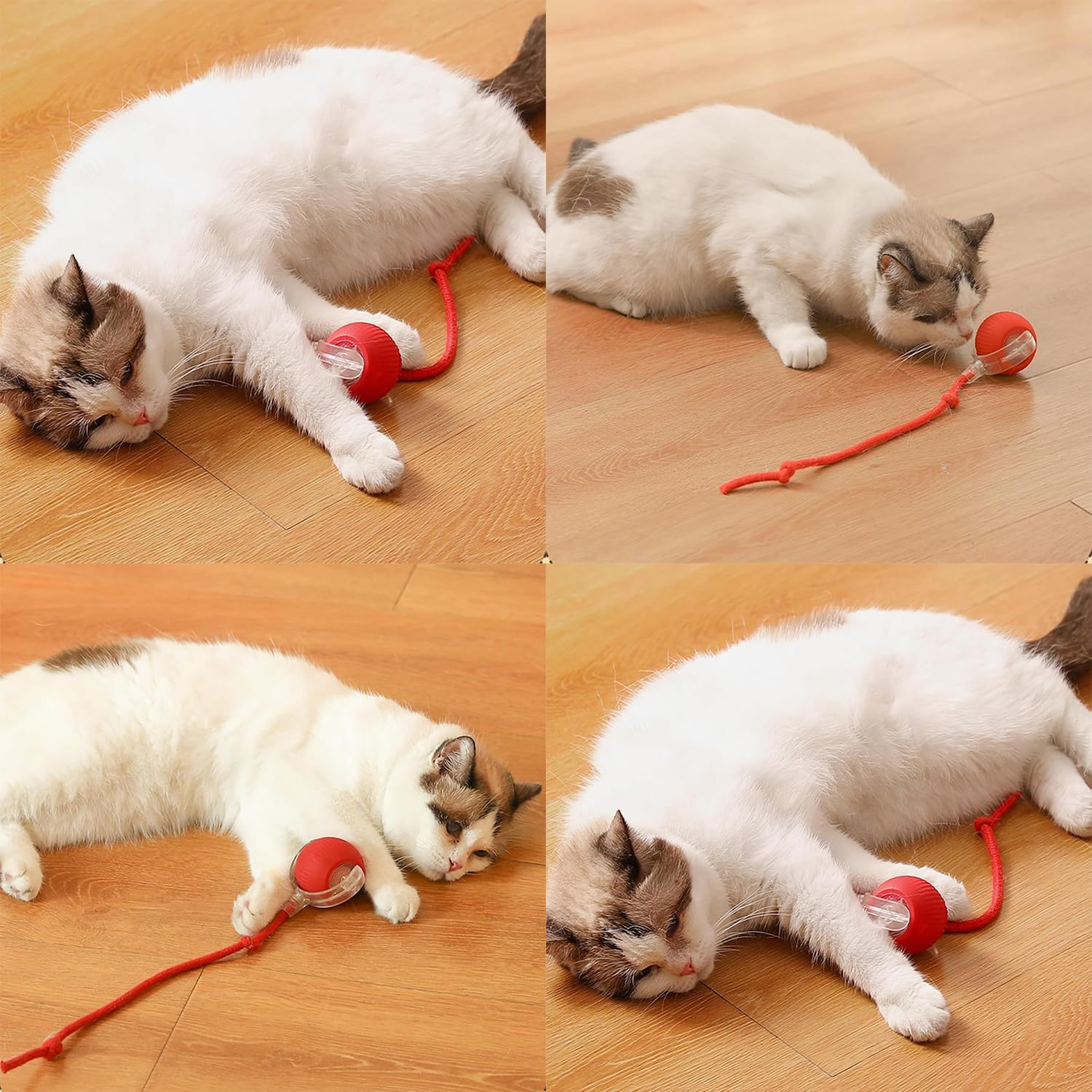 Interactive Pet Fun Ball, Interactive Dog Cat Toy Ball, Automatic Moving Bouncing Rolling